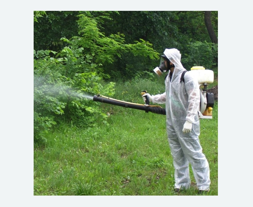 обработка дачи от клещей обработка территории от клещей в Южно-Сухокумске