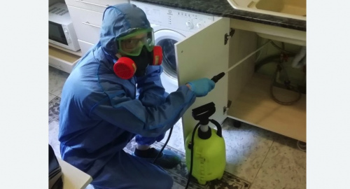 Уничтожение муравьев в квартире. Южно-Сухокумск