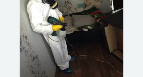 Обработка квартир от насекомых в Южно-Сухокумске