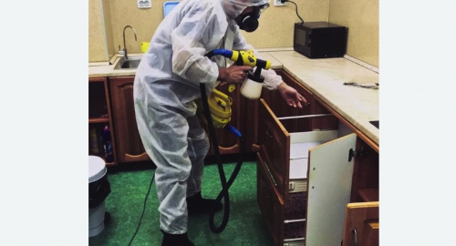 Дезинсекция квартиры. Южно-Сухокумск