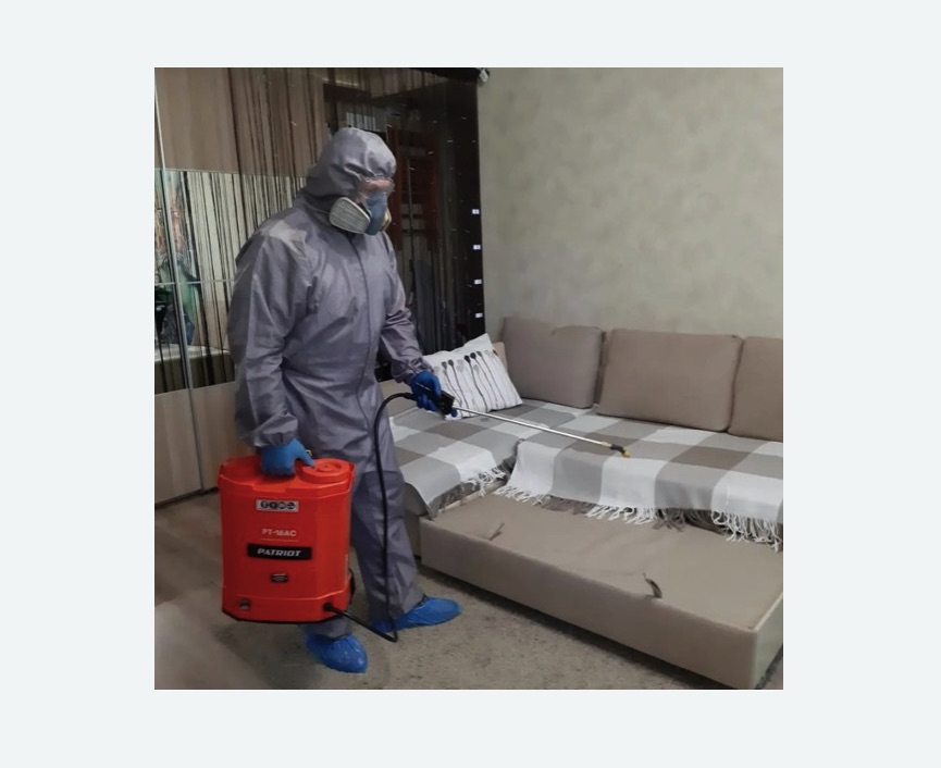 Обработка квартиры от блох в Южно-Сухокумске Обработка квартиры от блох