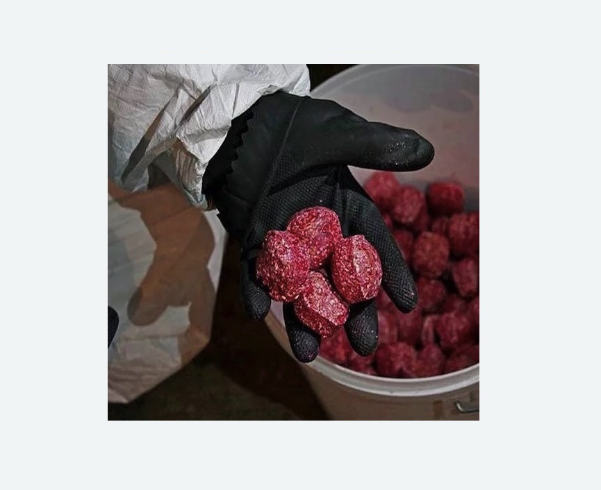 Обработка от крыс в Южно-Сухокумске