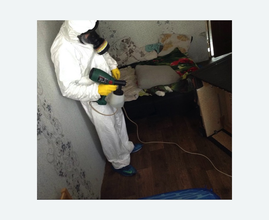 Обработка от насекомых в Южно-Сухокумске Обработка квартиры от насекомых