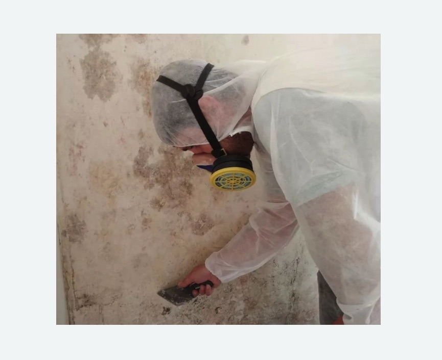 Обработка стен от плесени в Южно-Сухокумске