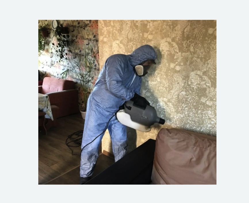 Уничтожение блох в квартире. Южно-Сухокумск Уничтожение блох в квартире