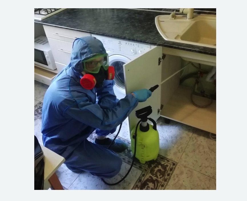 обработка от муравьев в квартире обработка от муравьев в квартире в Южно-Сухокумске